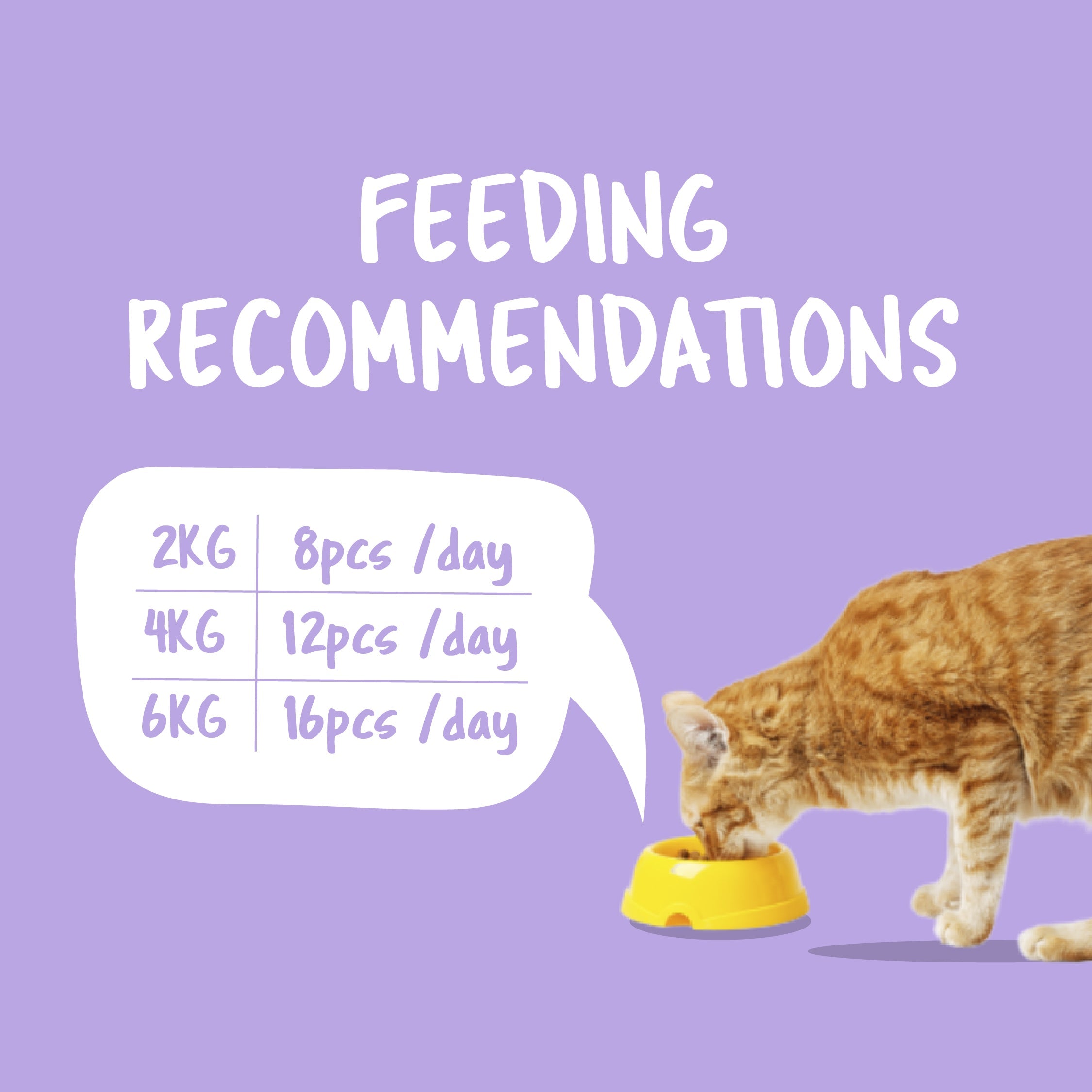 Kit Cat Purrfect Pockets (60g)