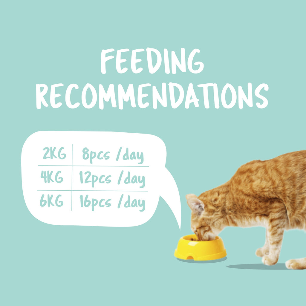 Kit Cat Purrfect Pockets (60g)