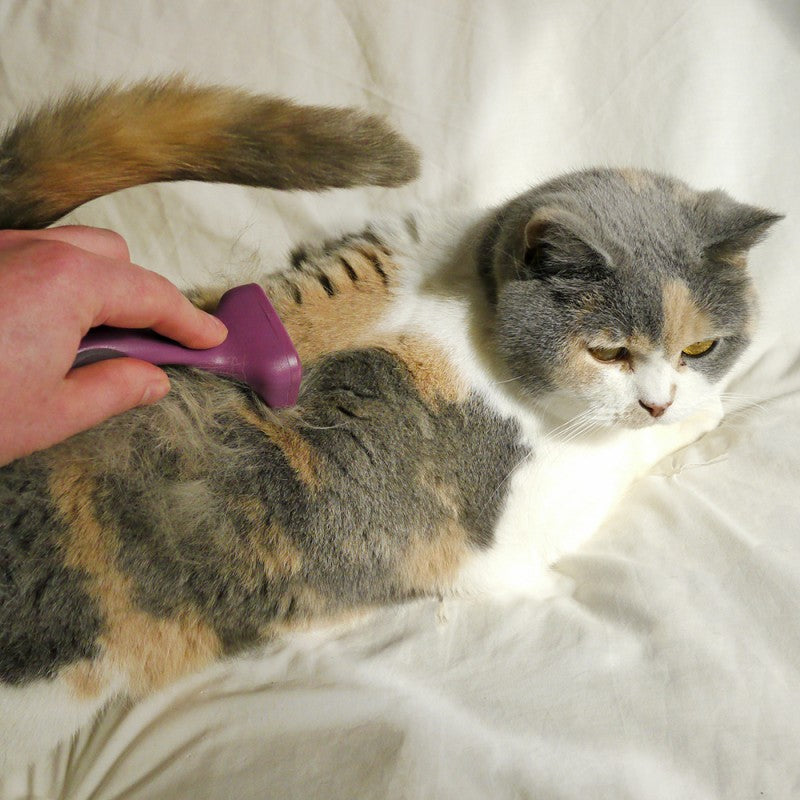 Rosewood Cat Moult Stoppa