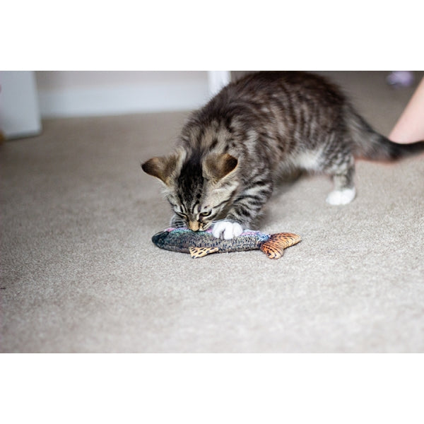 Jolly Moggy Catnip Red Snapper