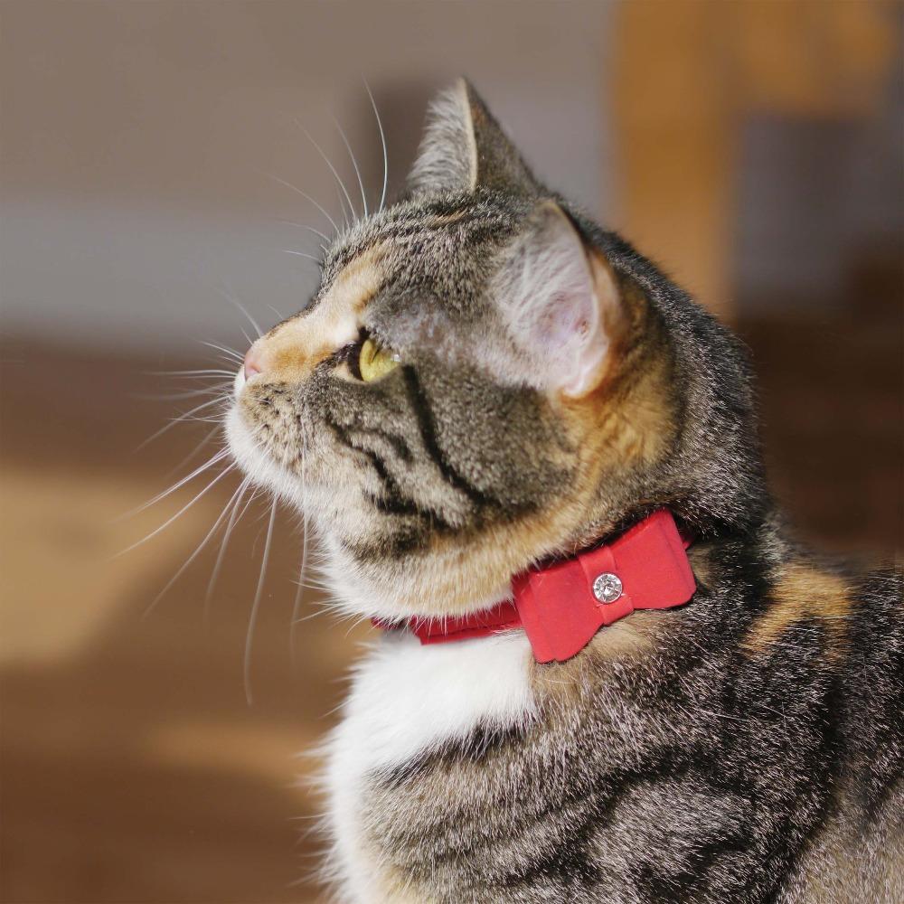 Rosewood Cat Collar Red Bow Tie