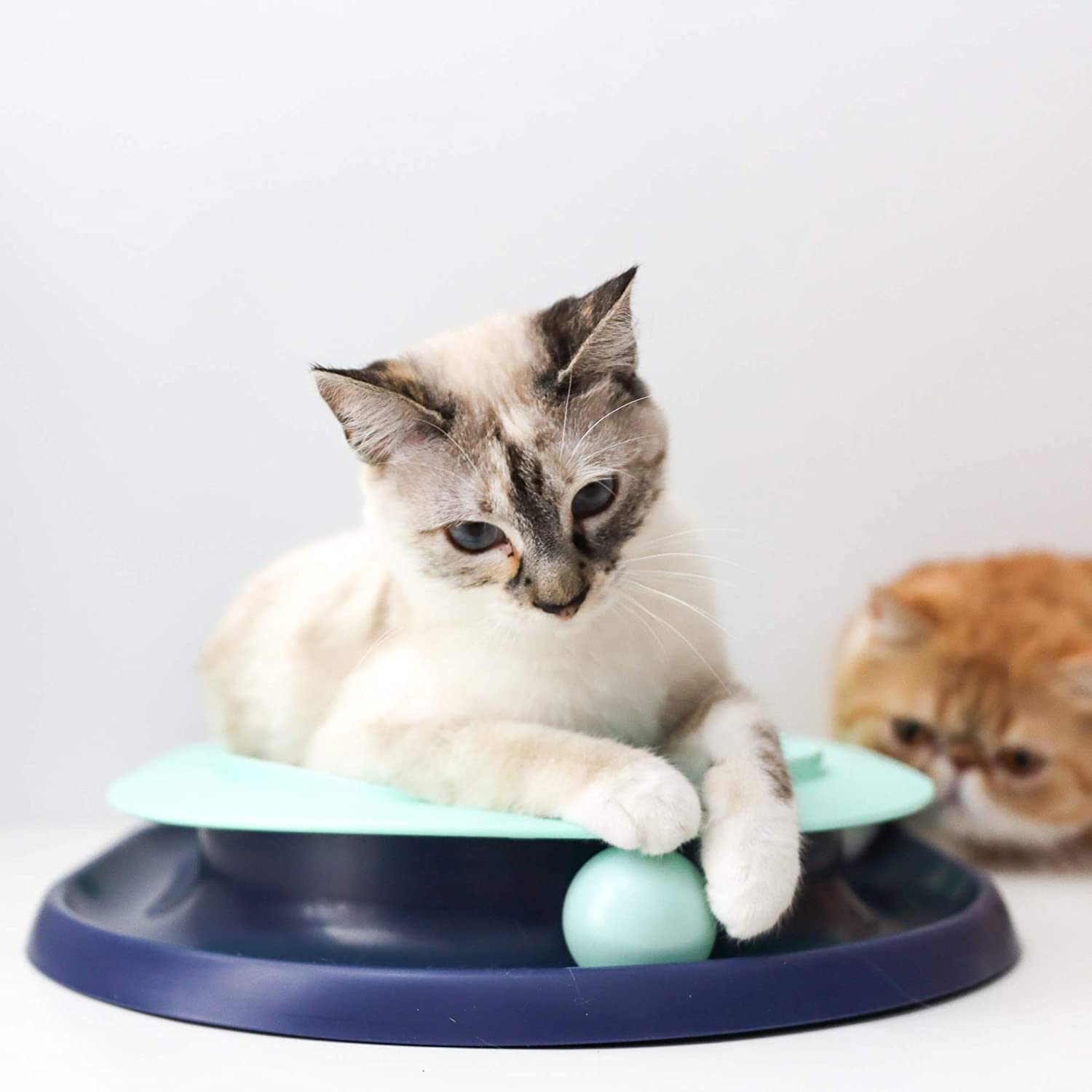 Catstages Lay 'n Play Cat Track