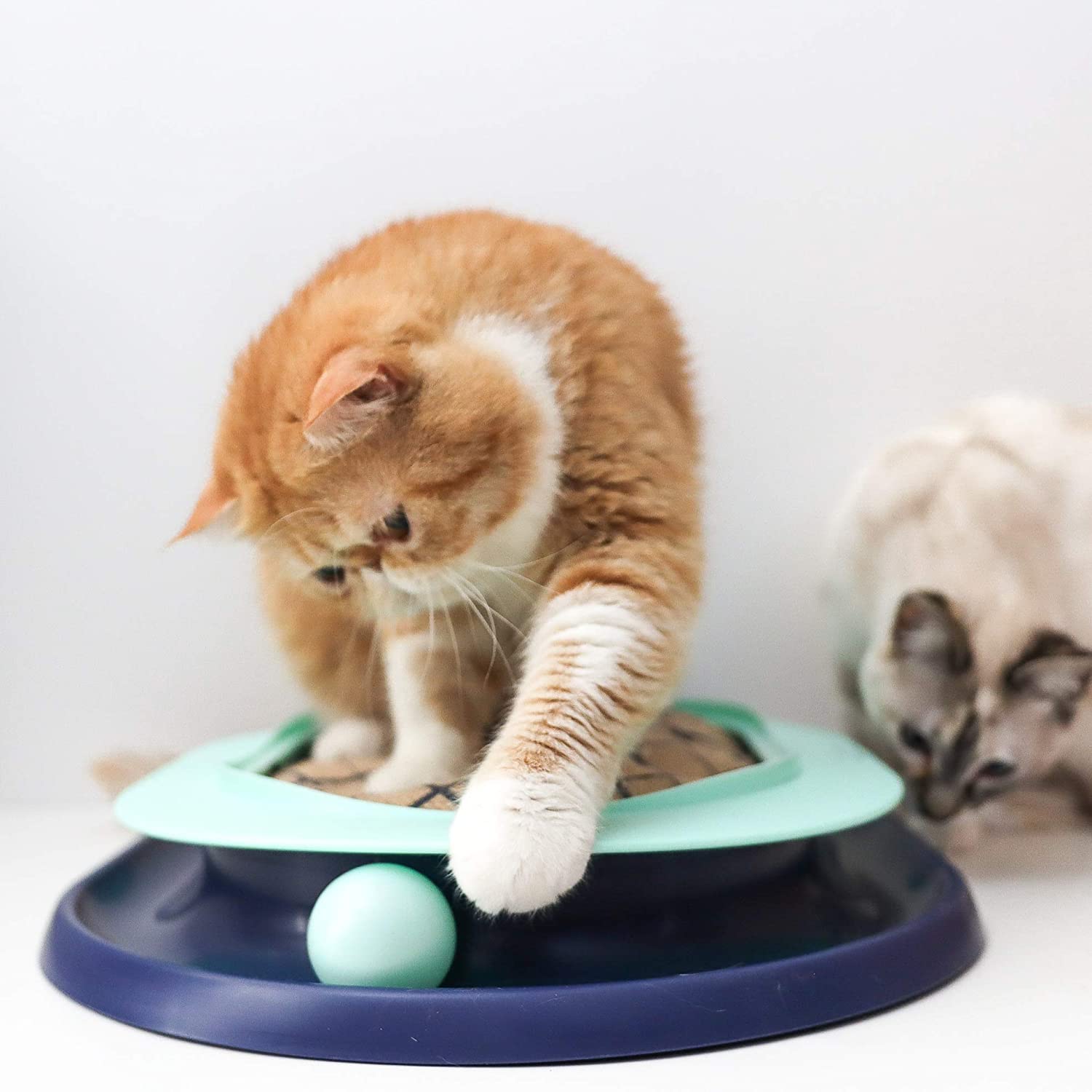 Catstages Lay 'n Play Cat Track