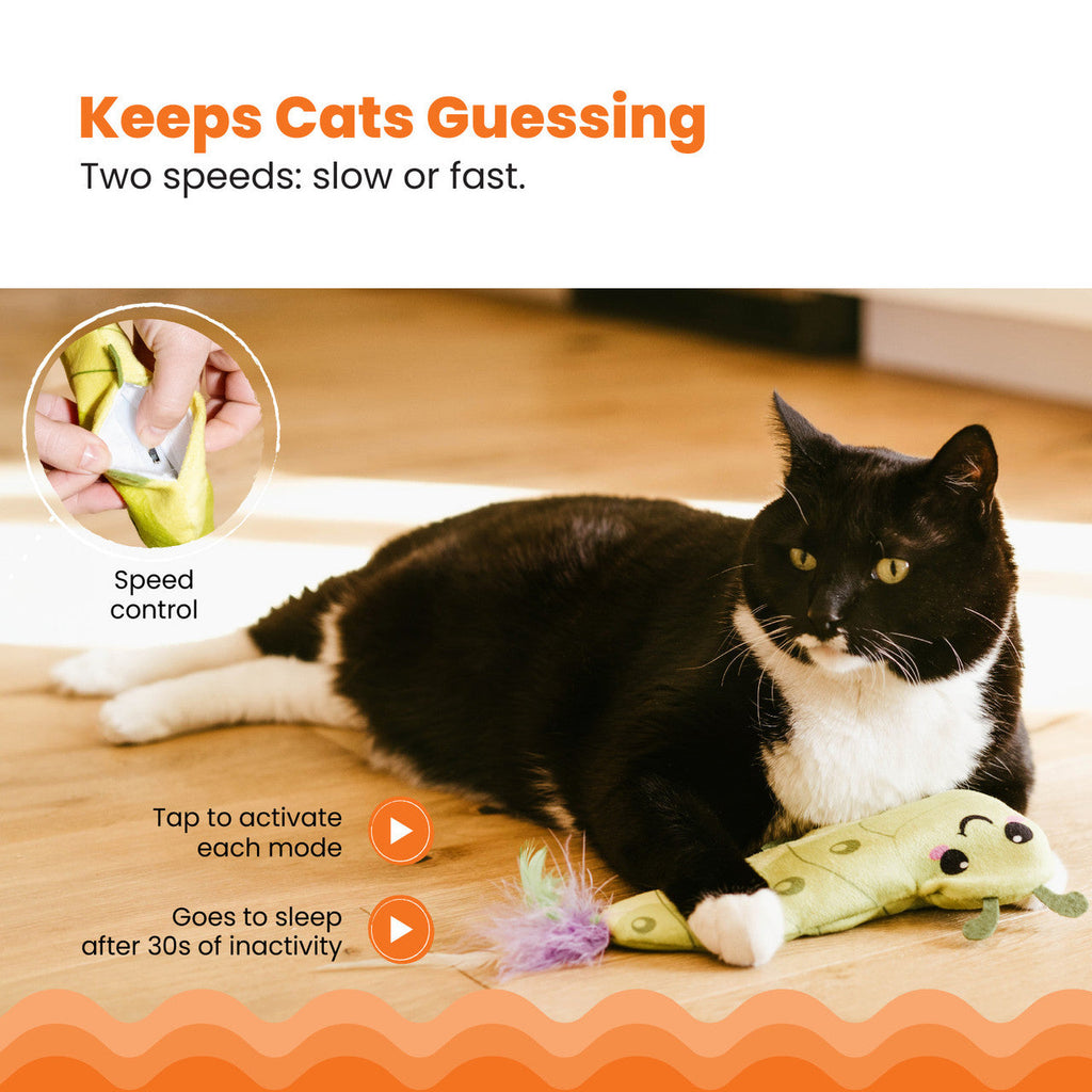 Catstages Wiggle Worm Electronic Toy