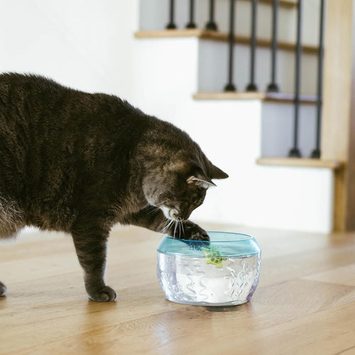 Catstages Meow-smerizing Fish Bowl
