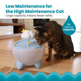 Catstages Purrfect Rain Cat Water Fountain