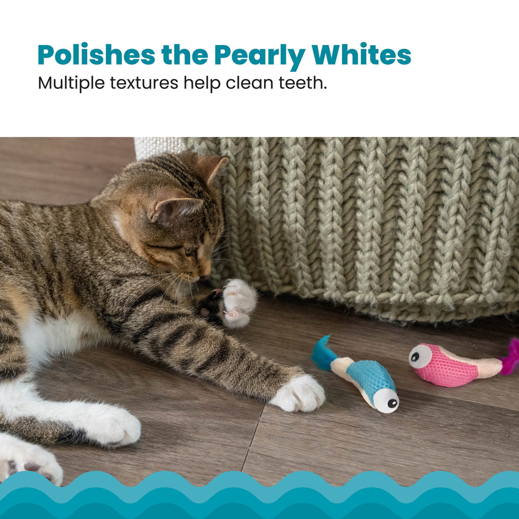 Catstages Dental Shrimpies