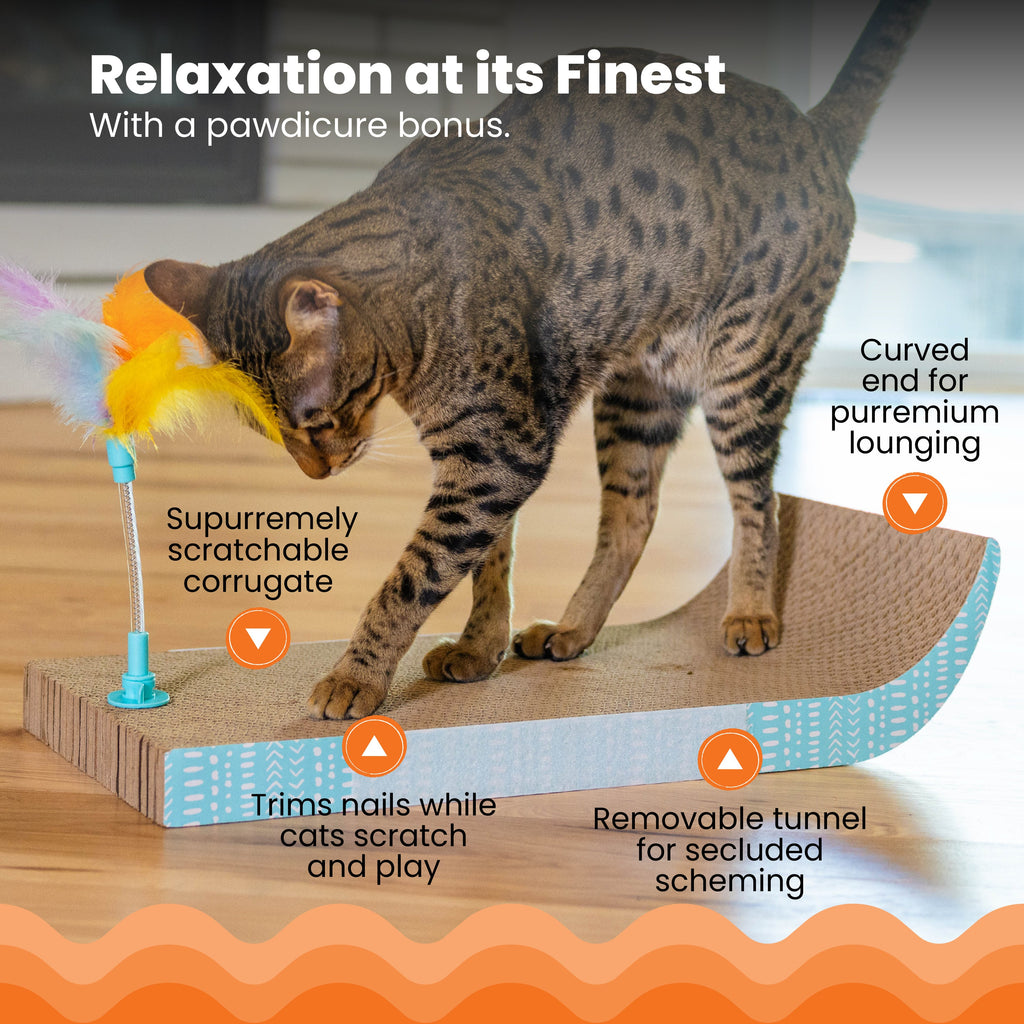 Catstages Cat Tunnel Scratcher