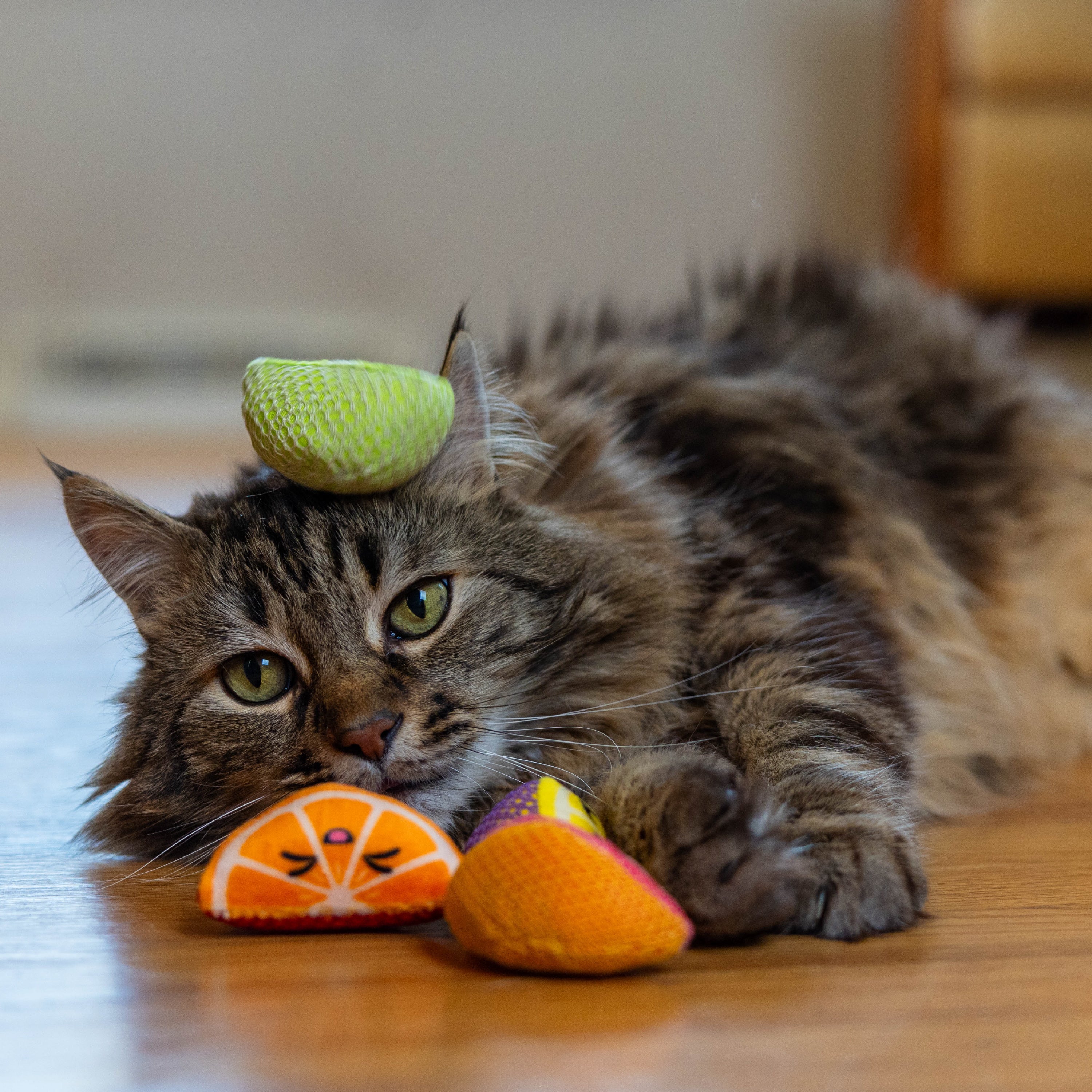 Catstages Fruit Wedges 4Pk