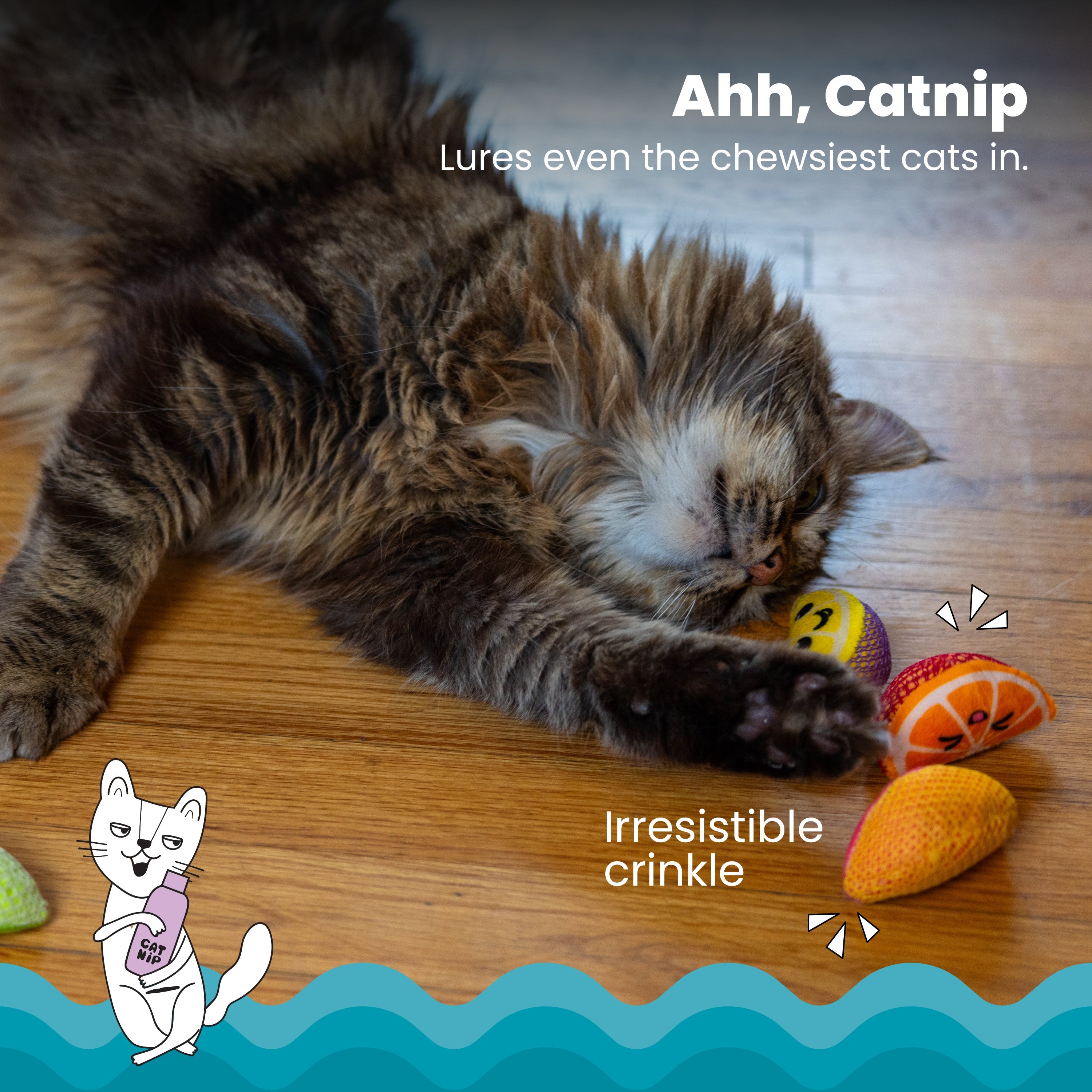 Catstages Fruit Wedges 4Pk
