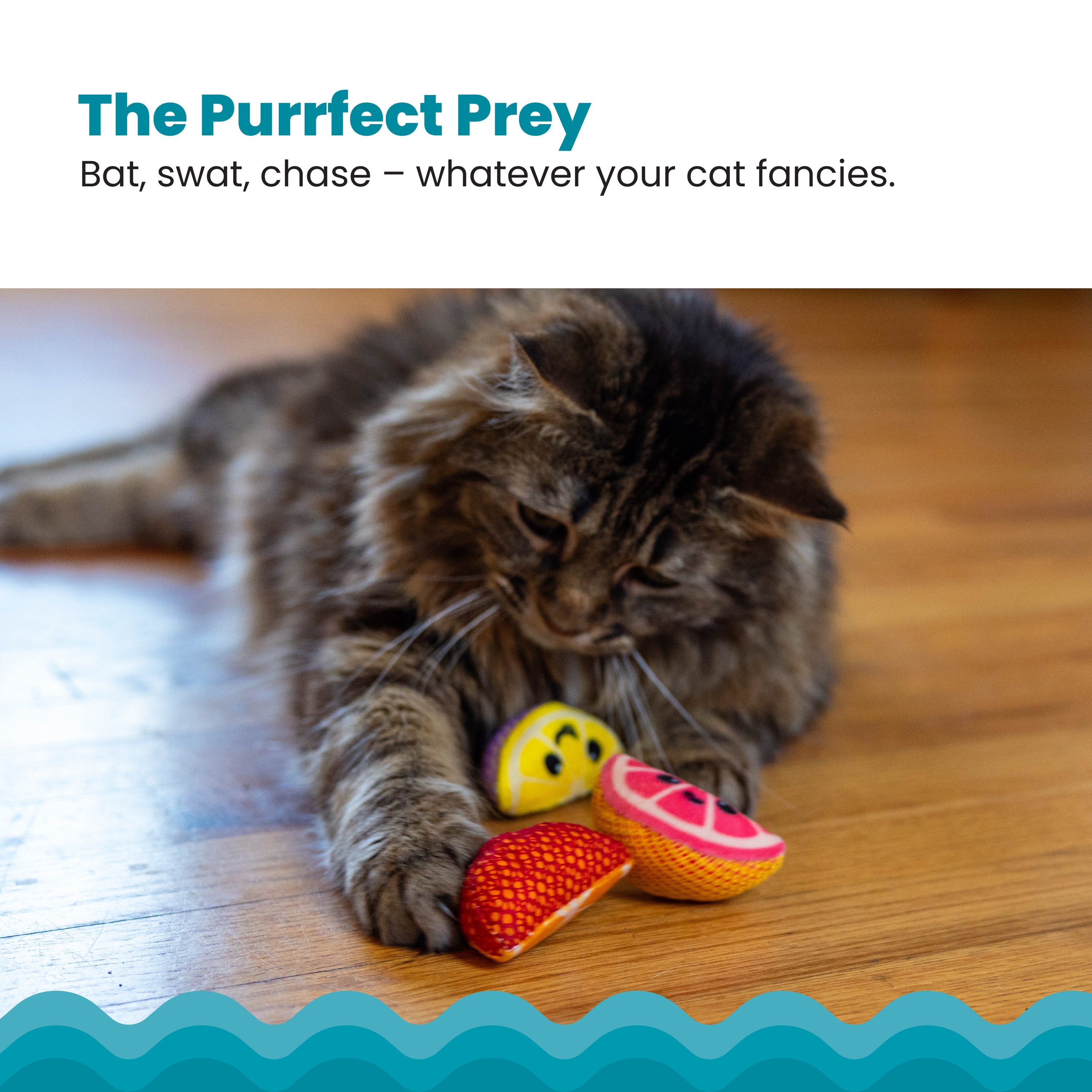 Catstages Fruit Wedges 4Pk