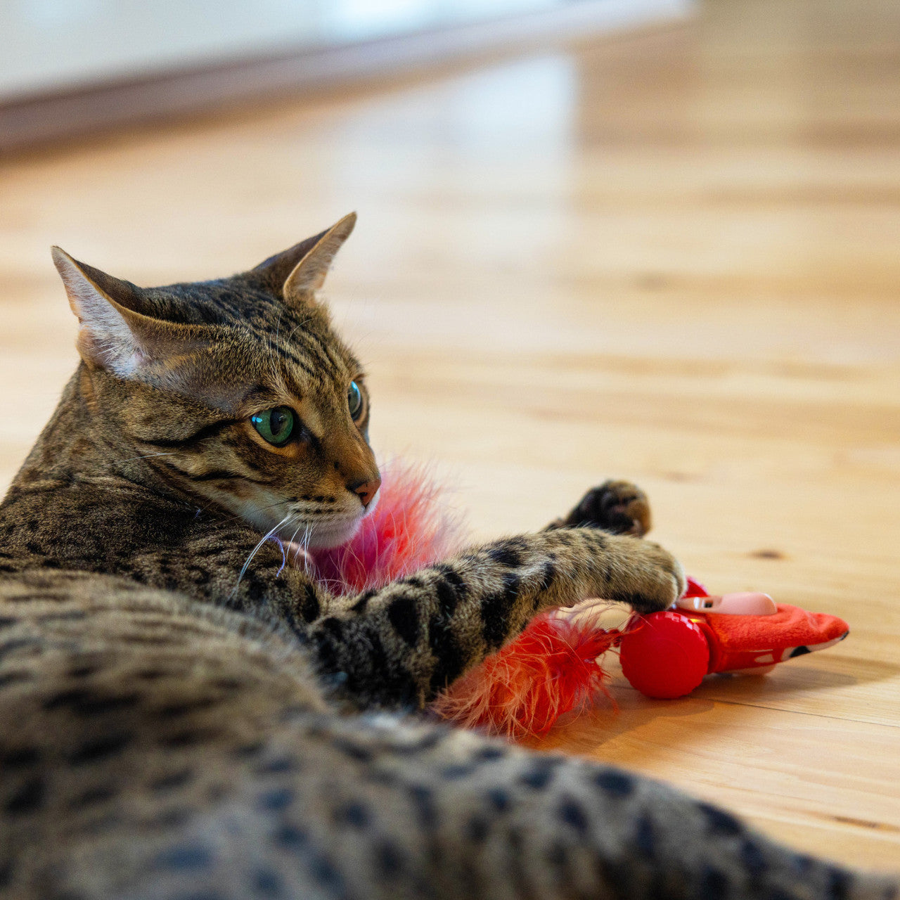 Catstages Racing Squirrel Robot Toy