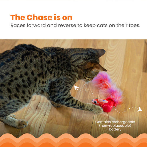 Catstages Racing Squirrel Robot Toy