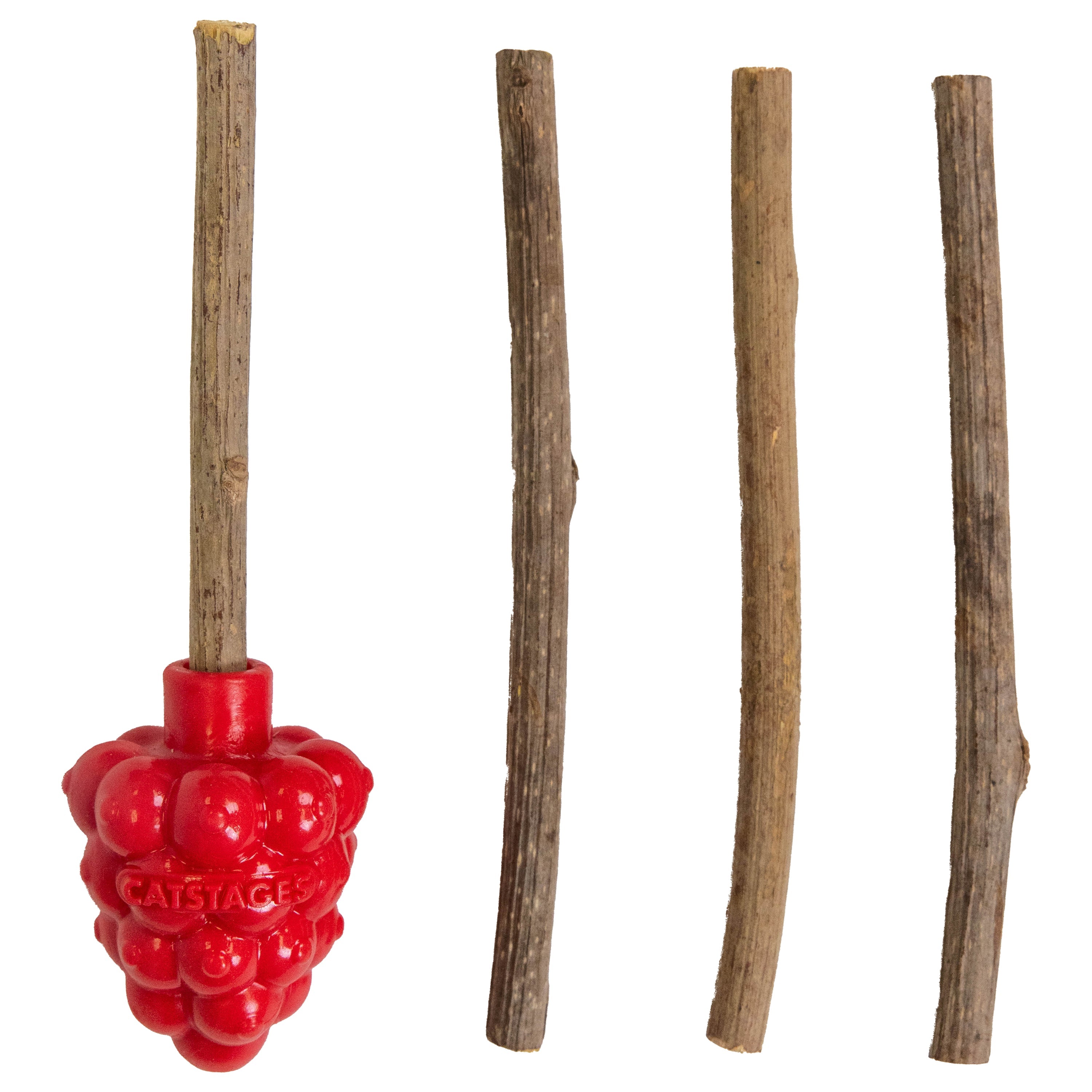 Catstages Dental Raspberry Silvervine Teether