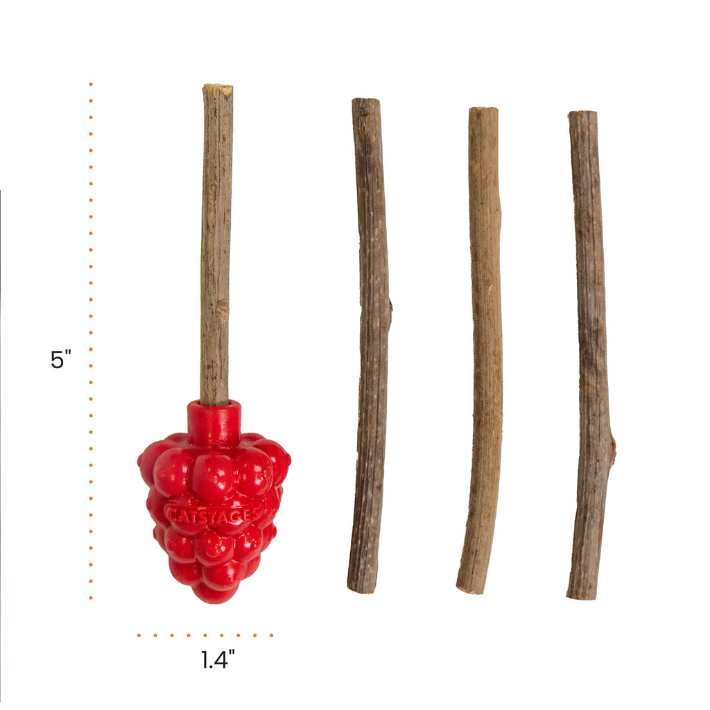 Catstages Dental Raspberry Silvervine Teether