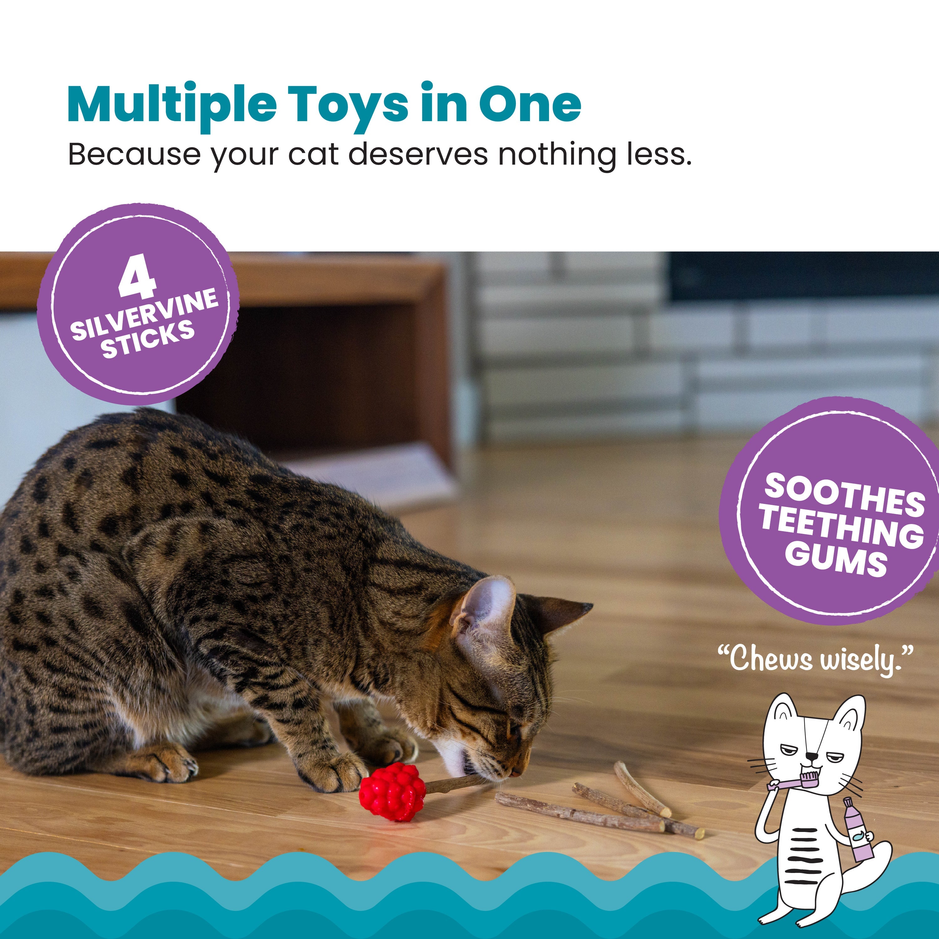 Catstages Dental Raspberry Silvervine Teether