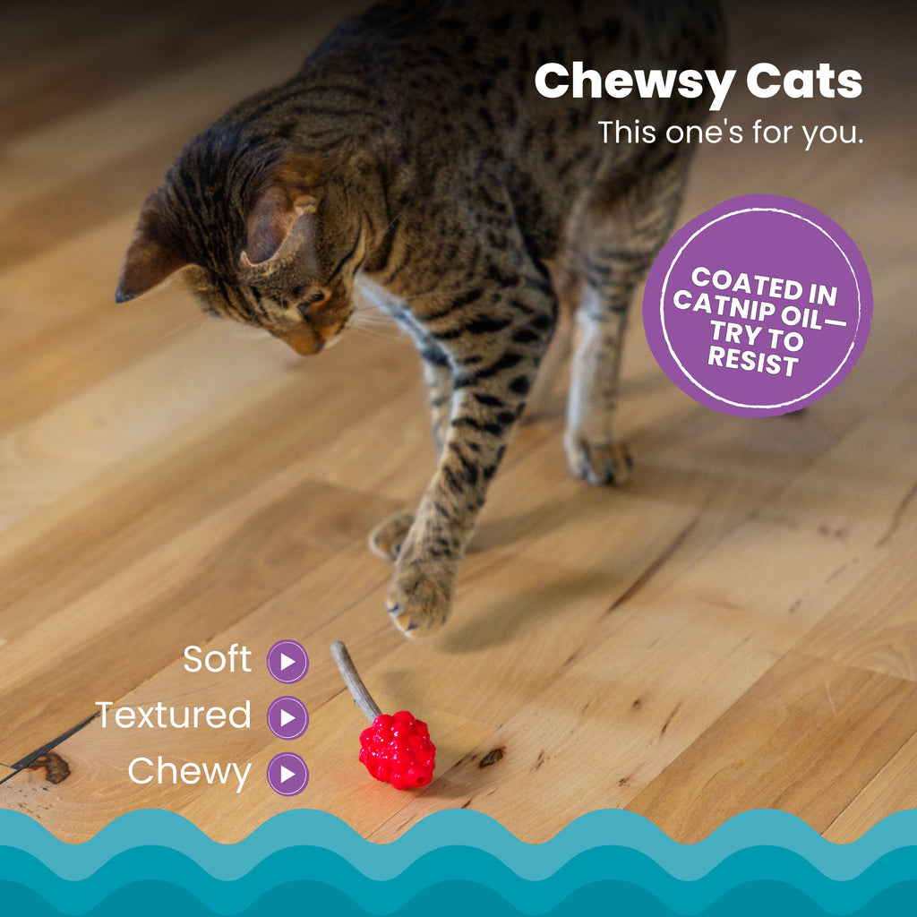 Catstages Dental Raspberry Silvervine Teether