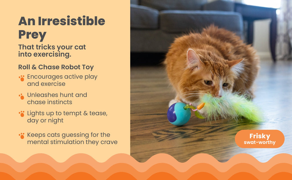 Catstages Roll & Chase Robot Toy
