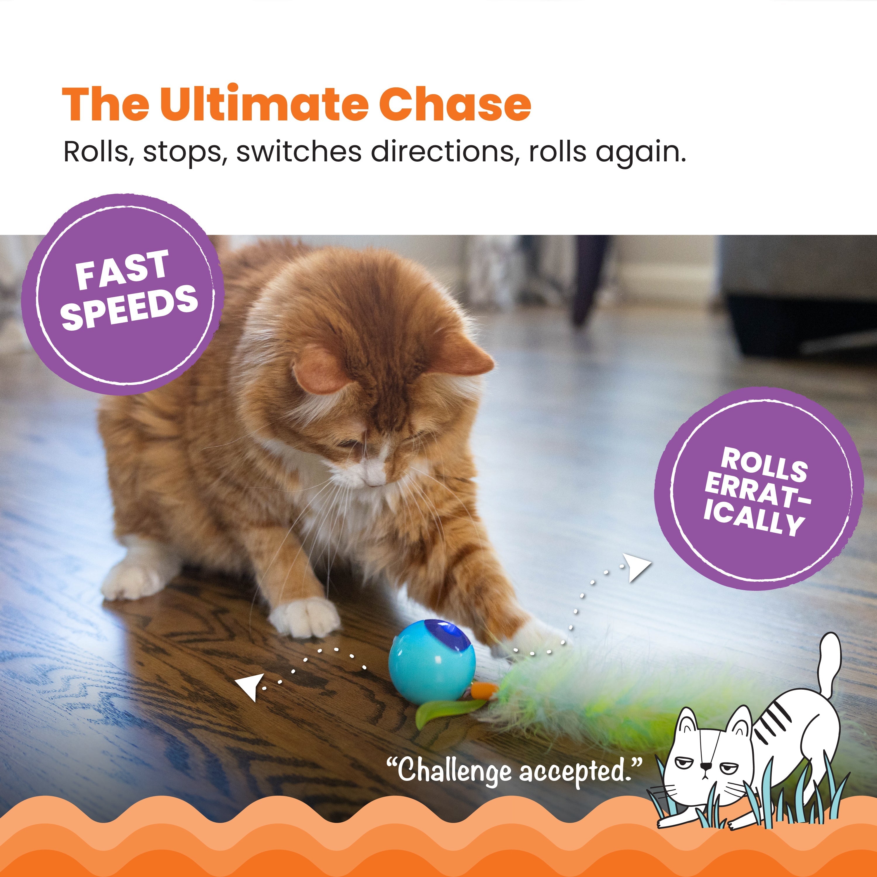 Catstages Roll & Chase Robot Toy
