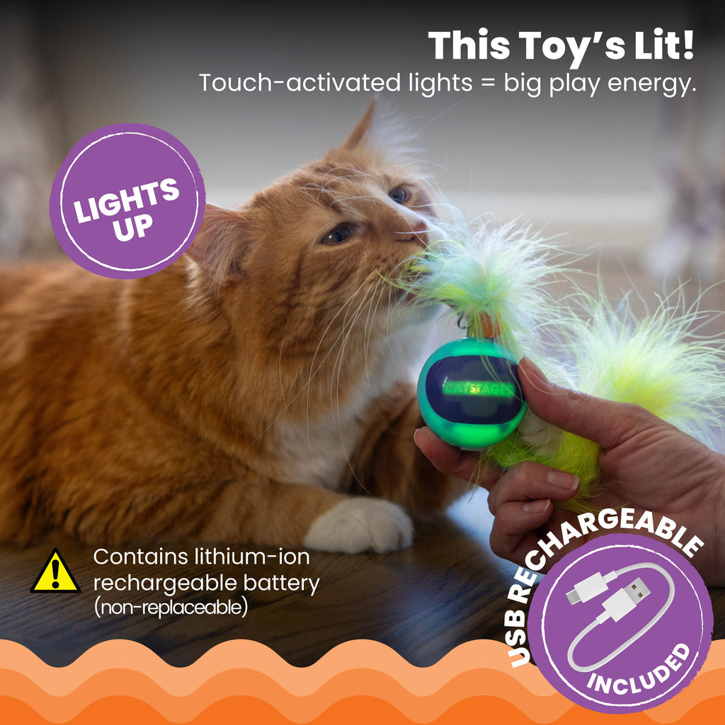 Catstages Roll & Chase Robot Toy