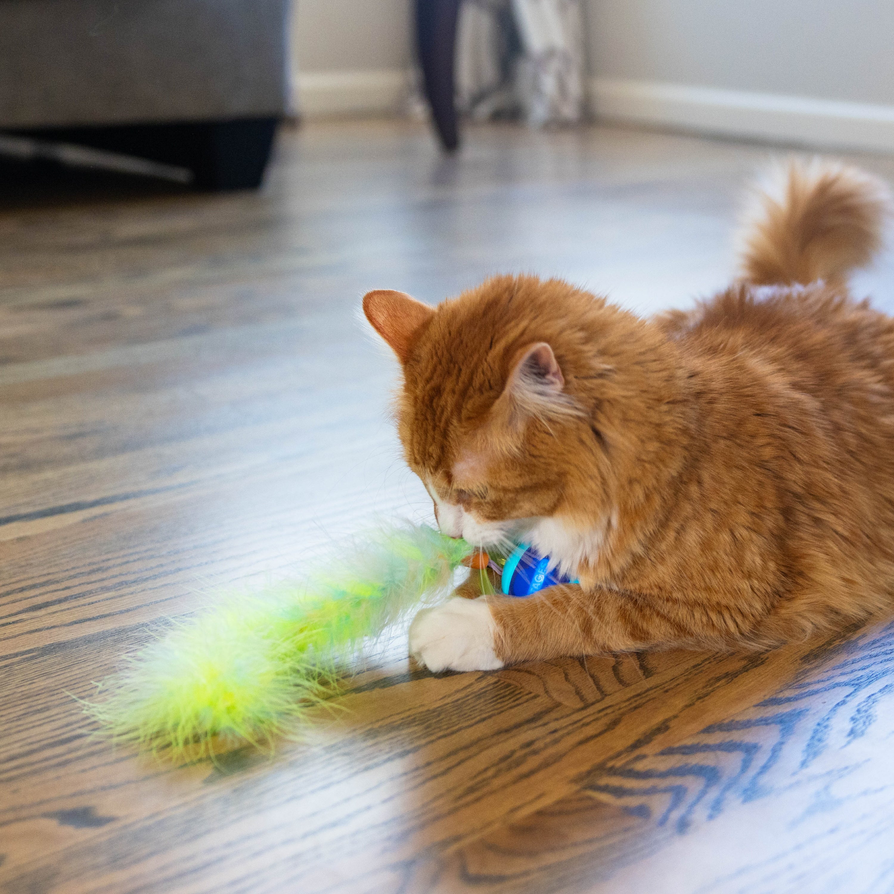 Catstages Roll & Chase Robot Toy