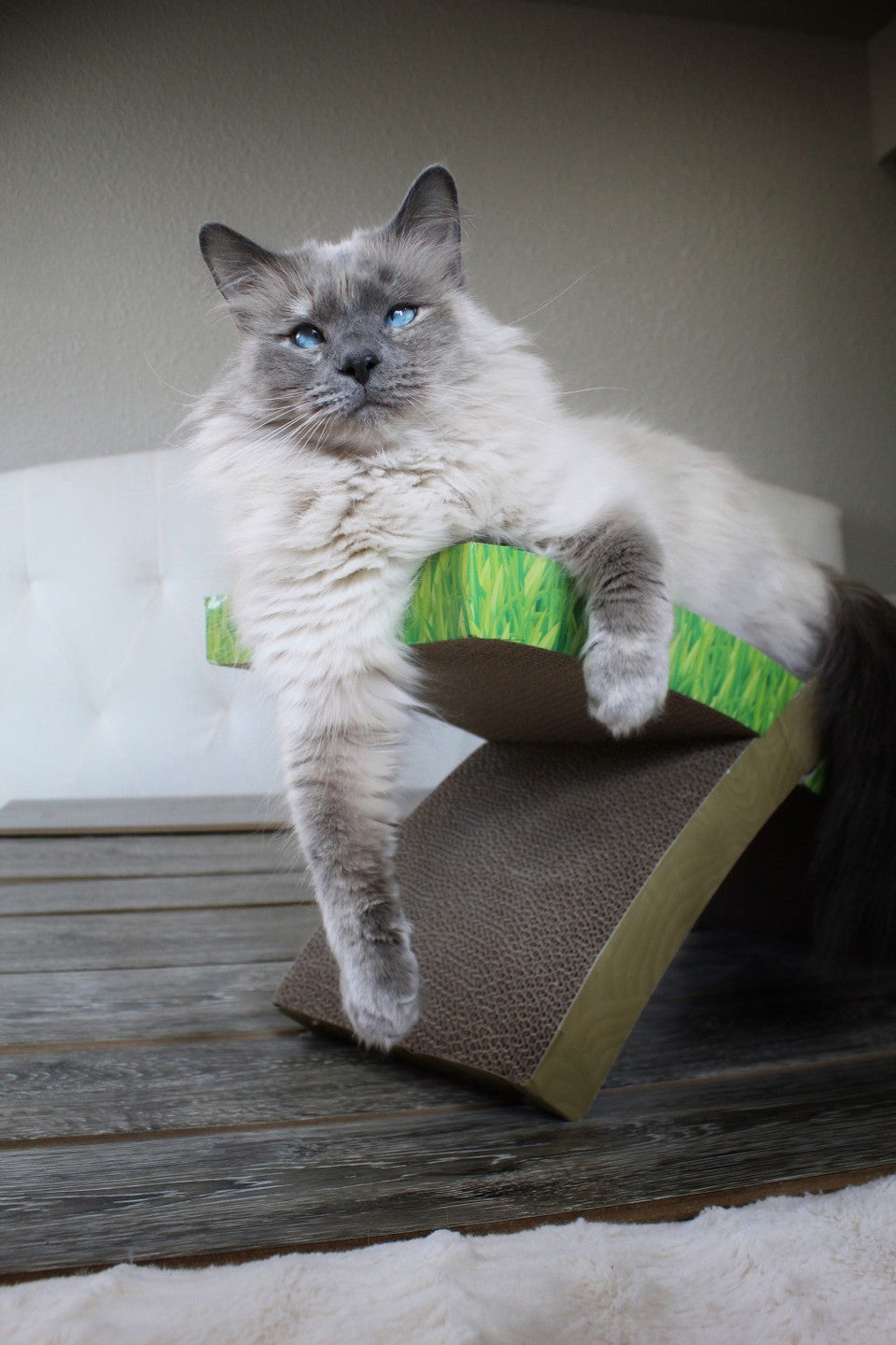 Petstages Easy Life Hammock Cat Scratcher