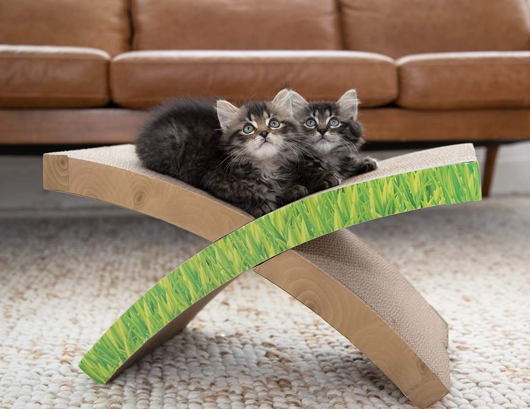 Petstages Easy Life Hammock Cat Scratcher