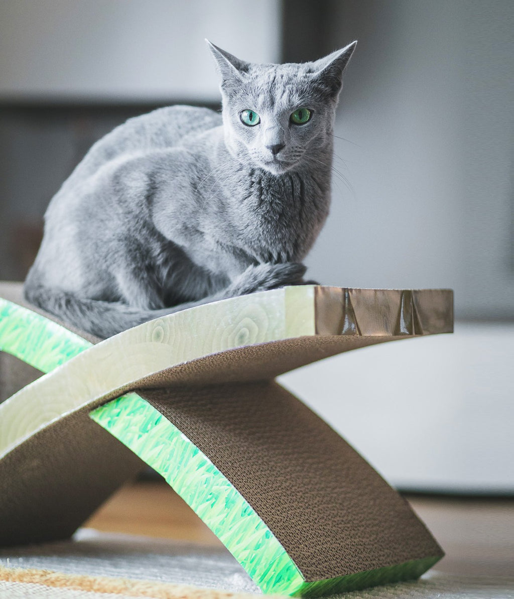 Petstages Easy Life Hammock Cat Scratcher