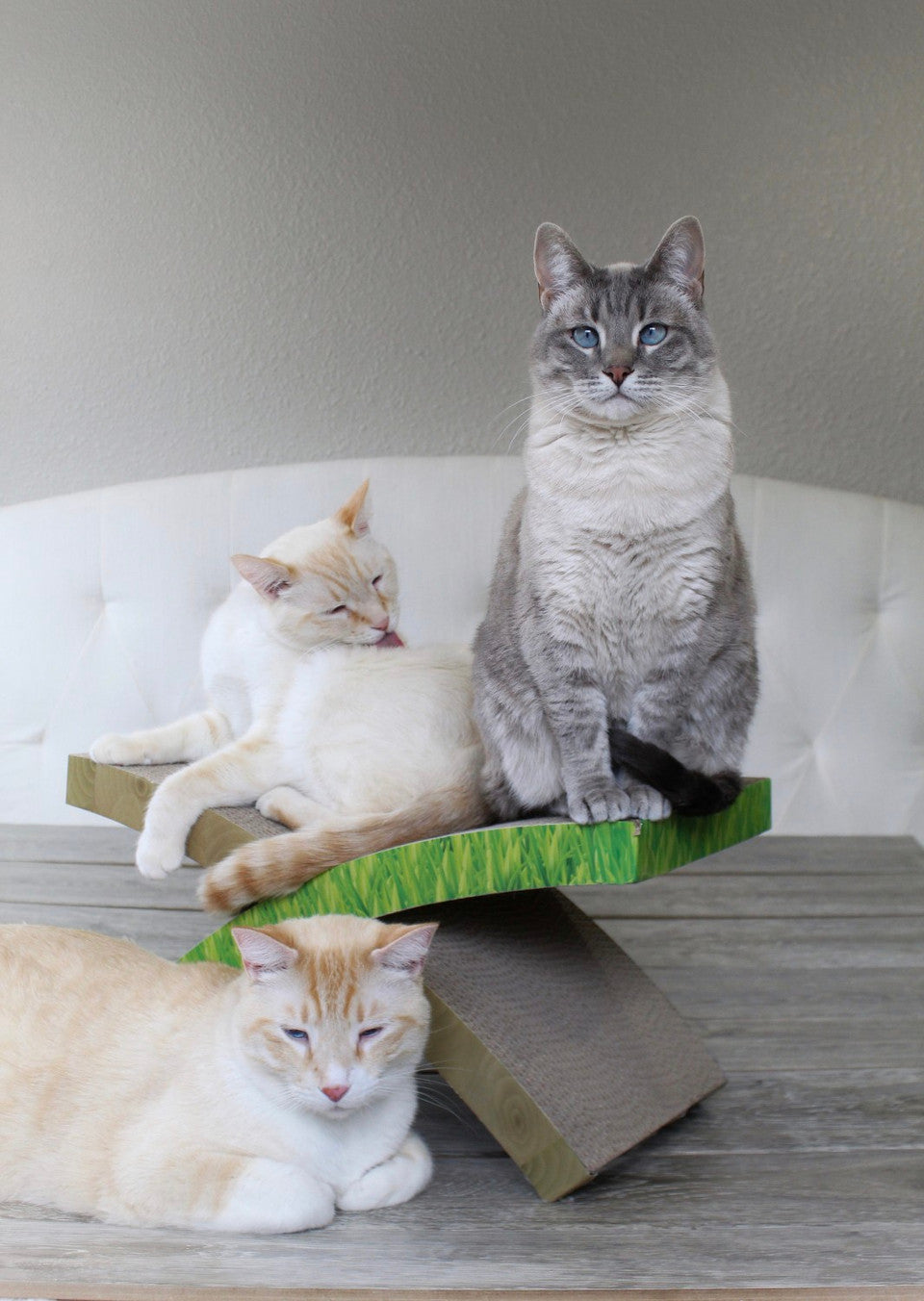 Petstages Easy Life Hammock Cat Scratcher