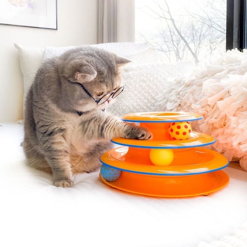 Petstages Tower of Tracks Interactive Cat Toy