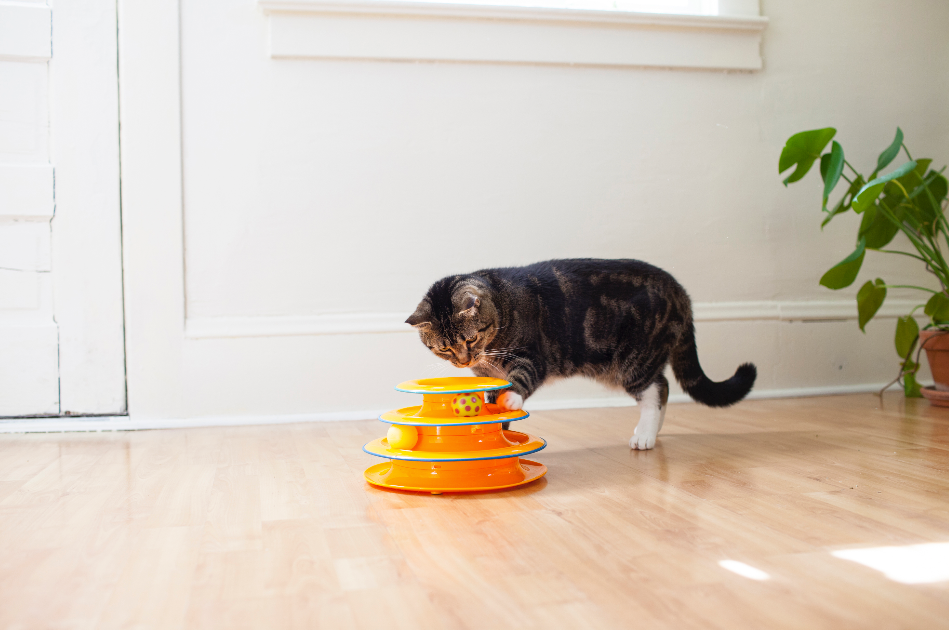 Petstages Tower of Tracks Interactive Cat Toy