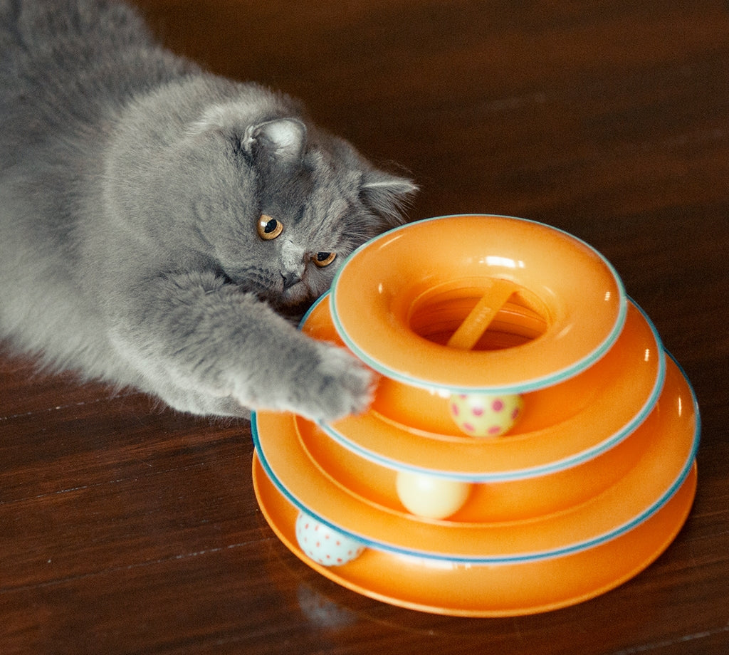 Petstages Tower of Tracks Interactive Cat Toy