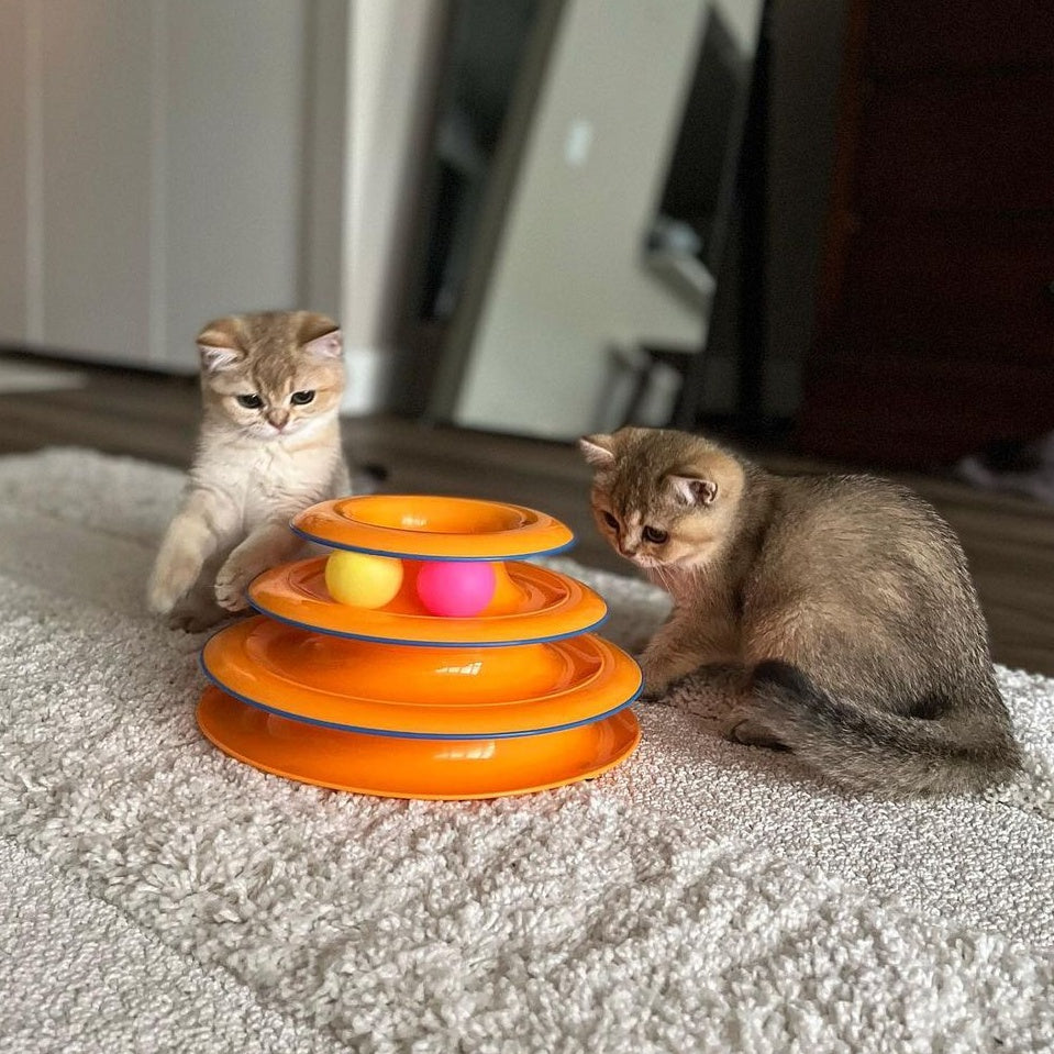 Petstages Tower of Tracks Interactive Cat Toy