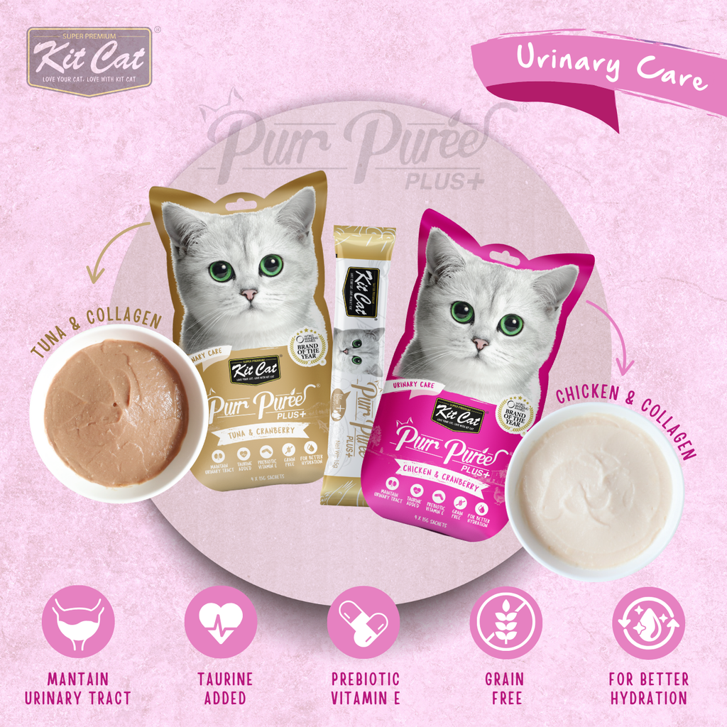 Kit Cat Purr Puree Plus+ (4 x 15g)
