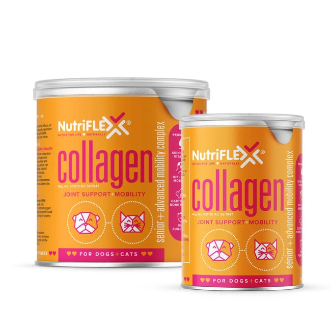 NutriFlex Advanced Mobility Supplement