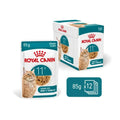 Royal Canin Ageing 11+ Wet Cat Food, box of 12 x 85g pouches