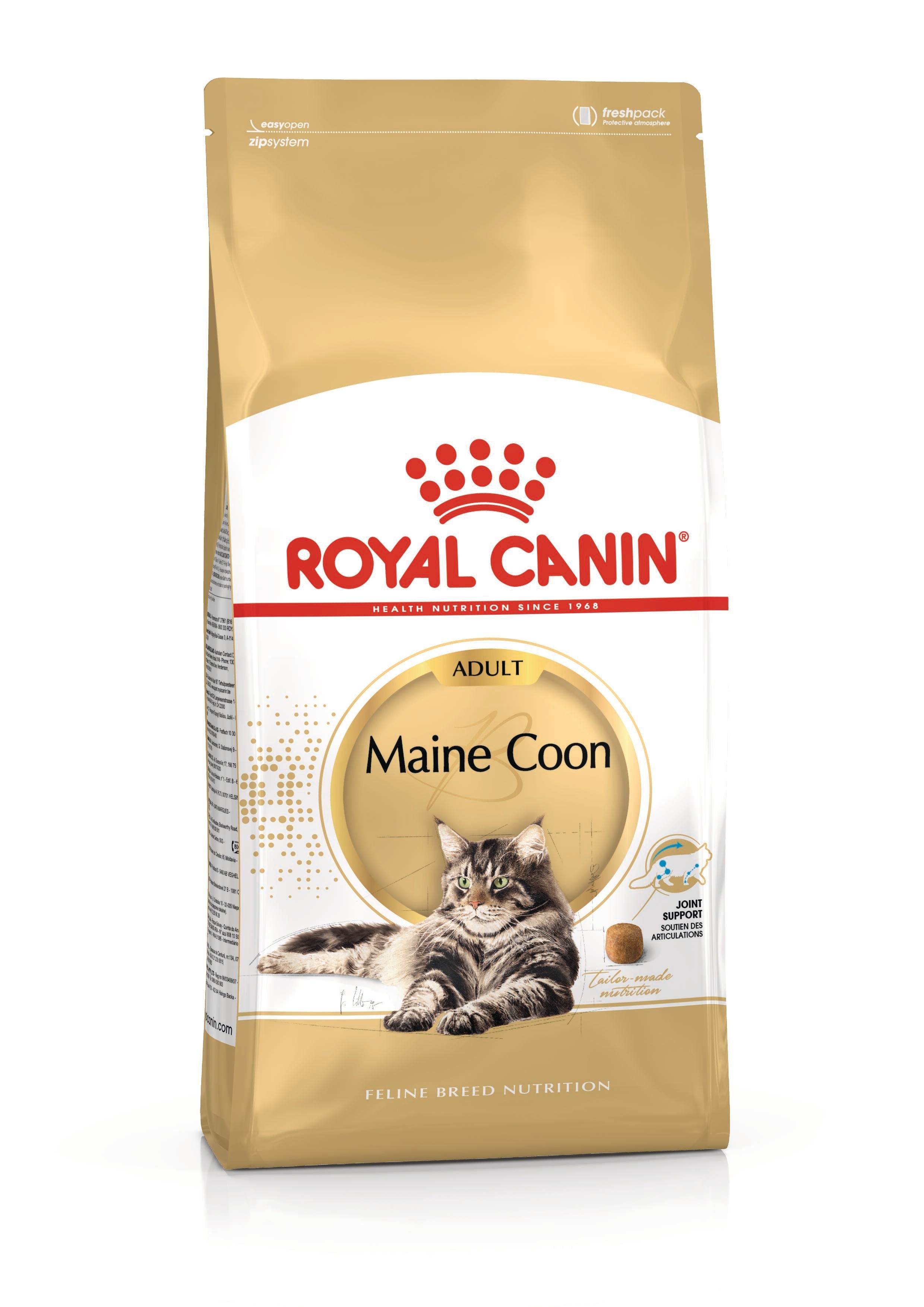 Royal Canin Maine Coon Adult Dry Cat Food