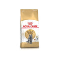 Royal Canin British Shorthair Adult Dry Cat Food