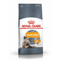 Royal Canin Hair & Skin Care Adult Dry Cat Food
