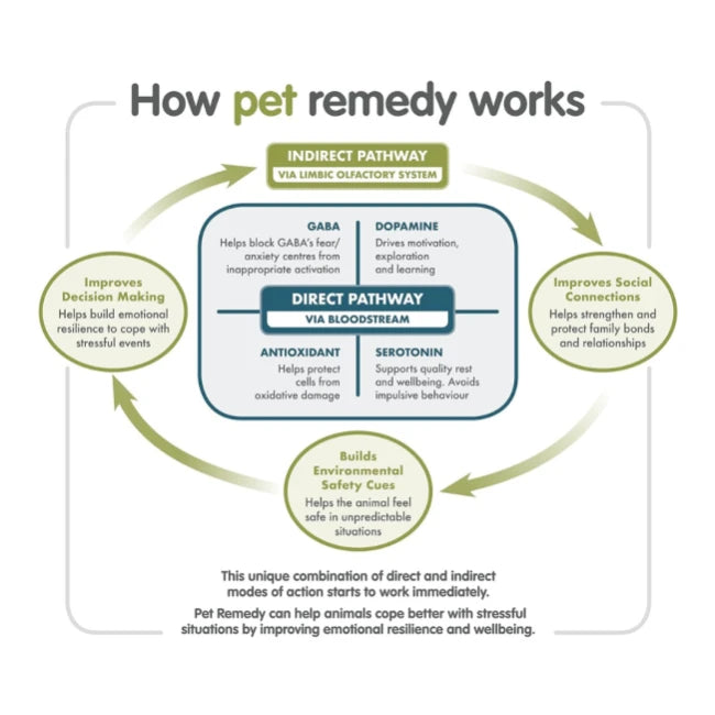 How Kyron Pet Remedy Calming Diffuser works
