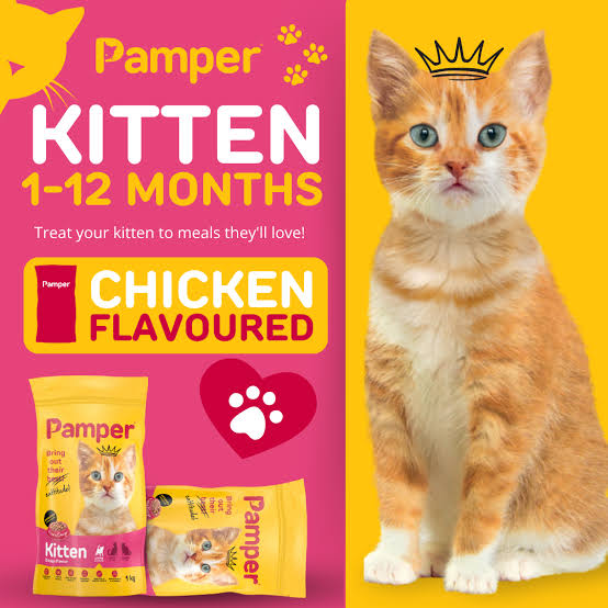 Pamper Kitten Dry Food 1kg pack detail