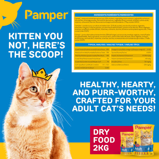 Pamper Deep Sea Delights Dry Cat Food