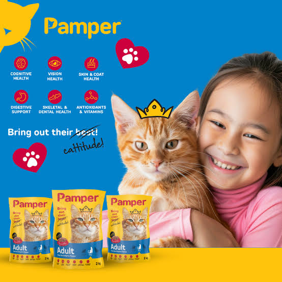 Pamper Deep Sea Delights Dry Cat Food