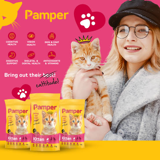 Pamper Kitten Dry Food 1kg pack detail
