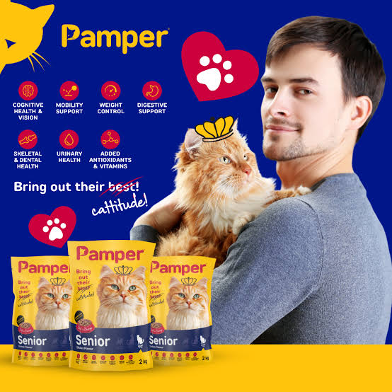 Pamper Senior Dry Food 2kg pack detail