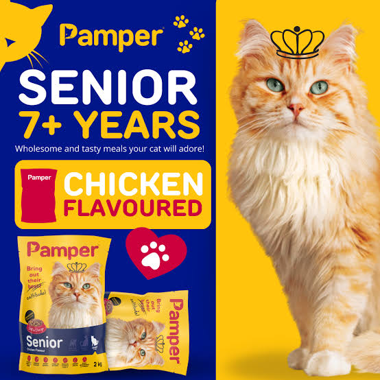 Pamper Senior Dry Food 2kg pack detail
