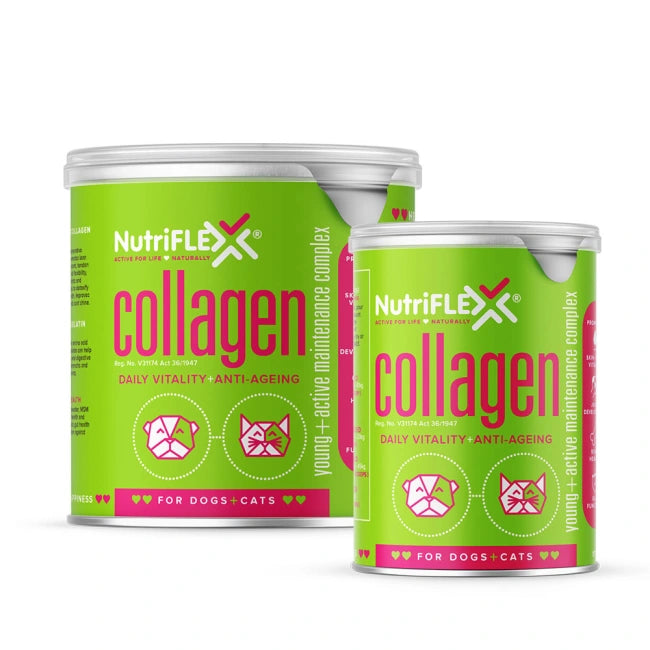 NutriFlex Maintenance Collagen