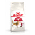 Royal Canin Fit 32 Adult Dry Cat Food