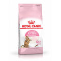 Royal Canin Kitten Sterilised Food
