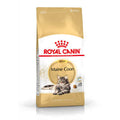 Royal Canin Maine Coon Adult Dry Cat Food
